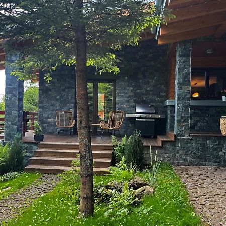 Bazalt Wellness Villa Harghita-Băi Exteriér fotografie