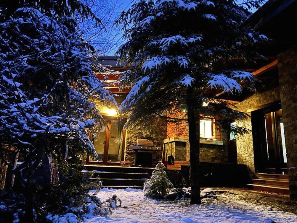 Bazalt Wellness Villa Harghita-Băi Exteriér fotografie
